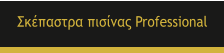 ��������� ������� Professional